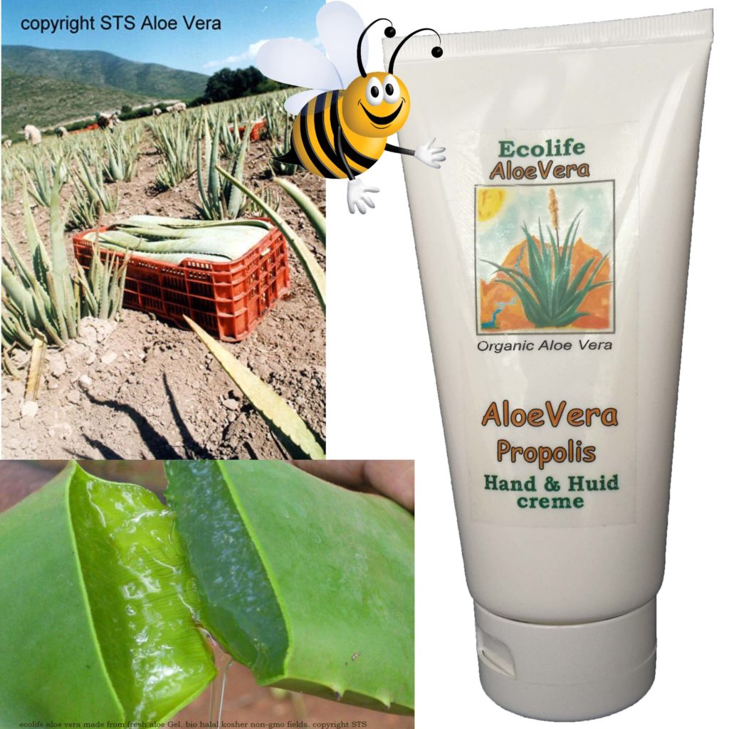 propolis en aloë vera creme. Beschermd en hydrateerd Ecolife Aloe Propolis creme