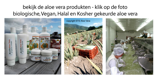 bio aloe vera juice - aloe vera gel - aloe vera sap. Ecolife Producten