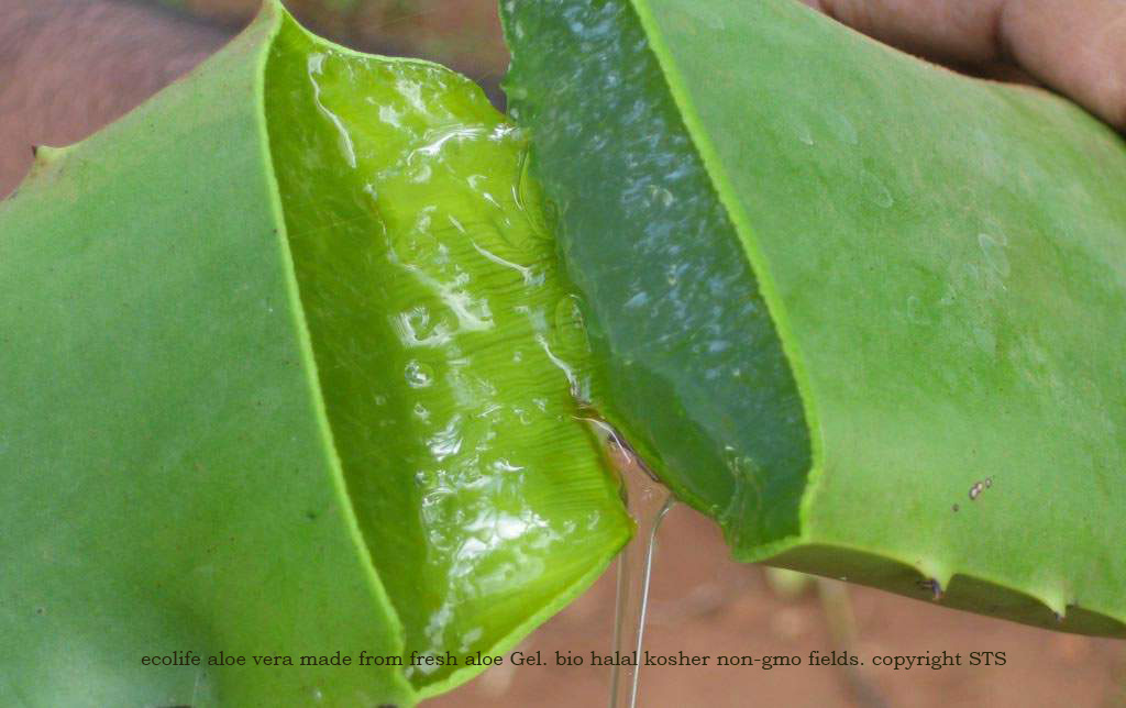 puur aloe vera blad gel